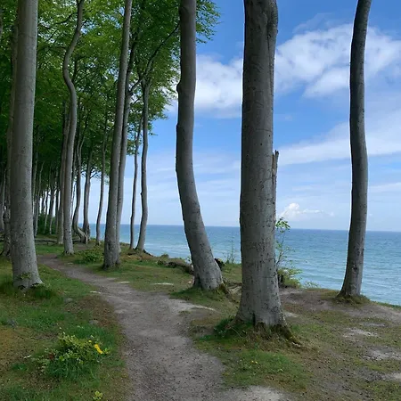 Heiligendamm Urlaub Im Mit Kamin Und Sauna An Der Ostsee Hébergement de vacances