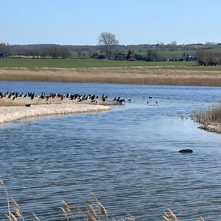 Hébergement de vacances Heiligendamm Urlaub Im Mit Kamin Und Sauna An Der Ostsee